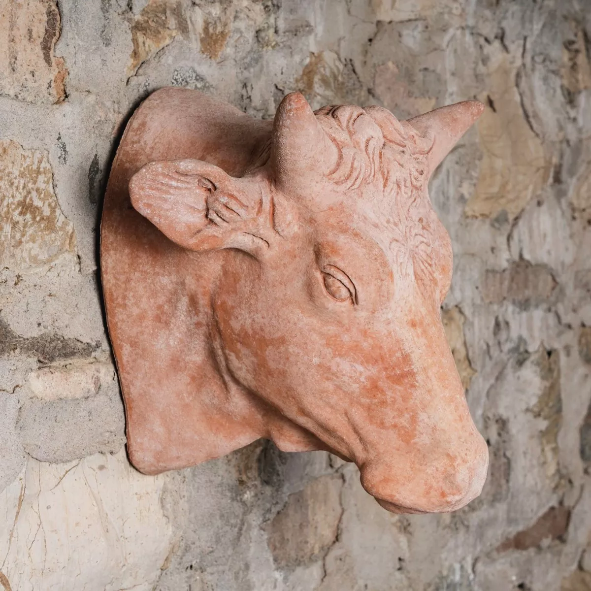 Býk cotto ornament na zeď
